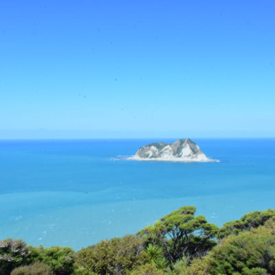 Cycling the East Cape
