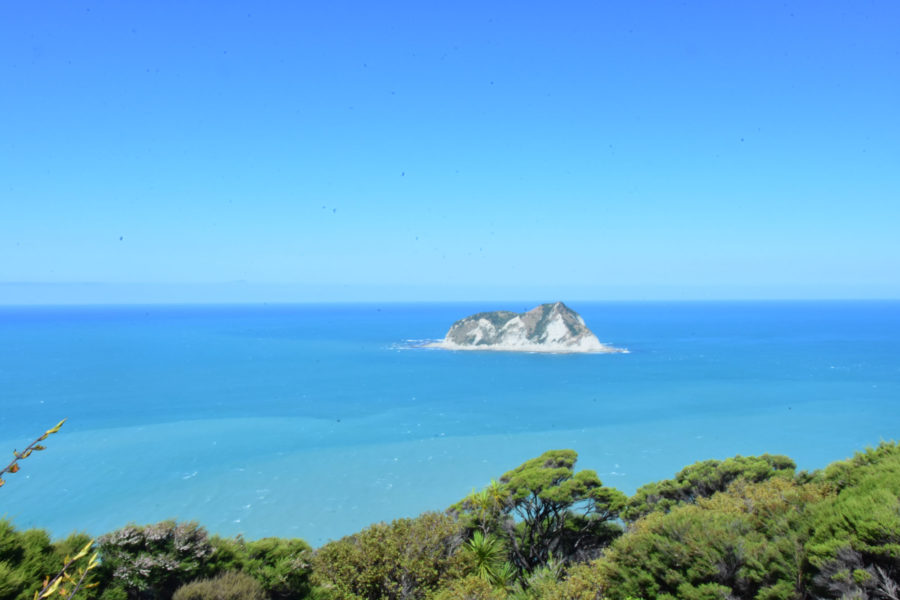 Cycling the East Cape